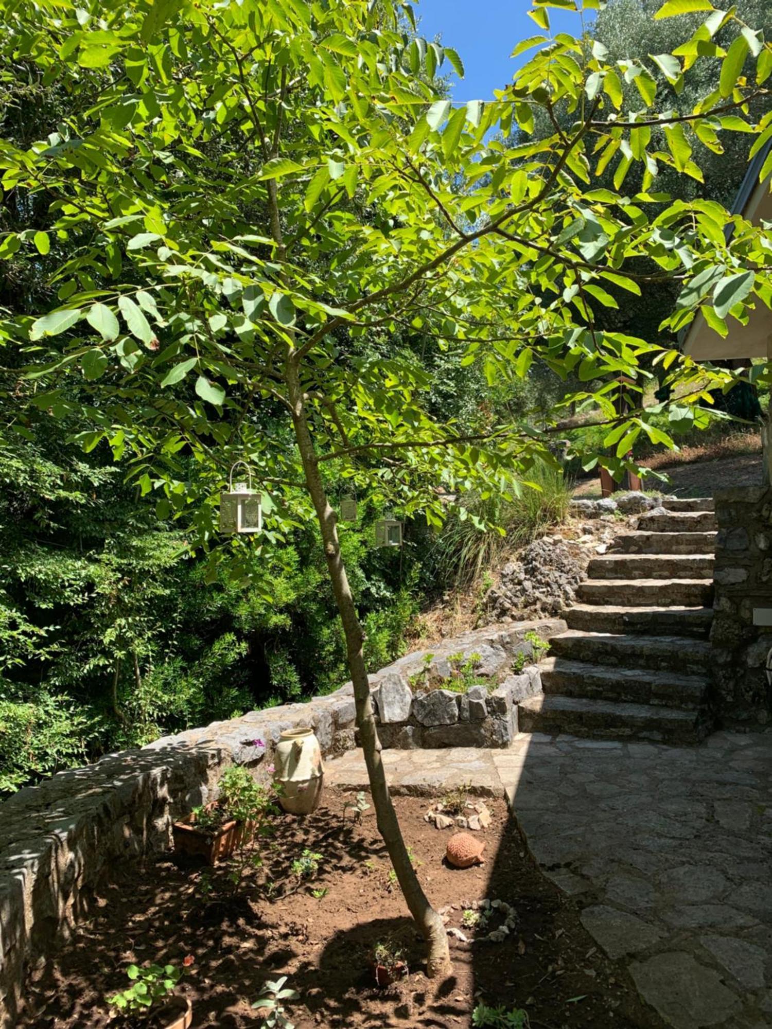 I Suoni Di Valle Martina Poderia Ngoại thất bức ảnh